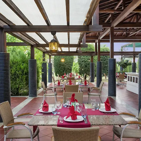 Ic Palace - Kids Concept