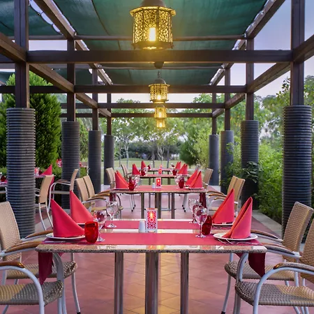 Ic Palace - Kids Concept